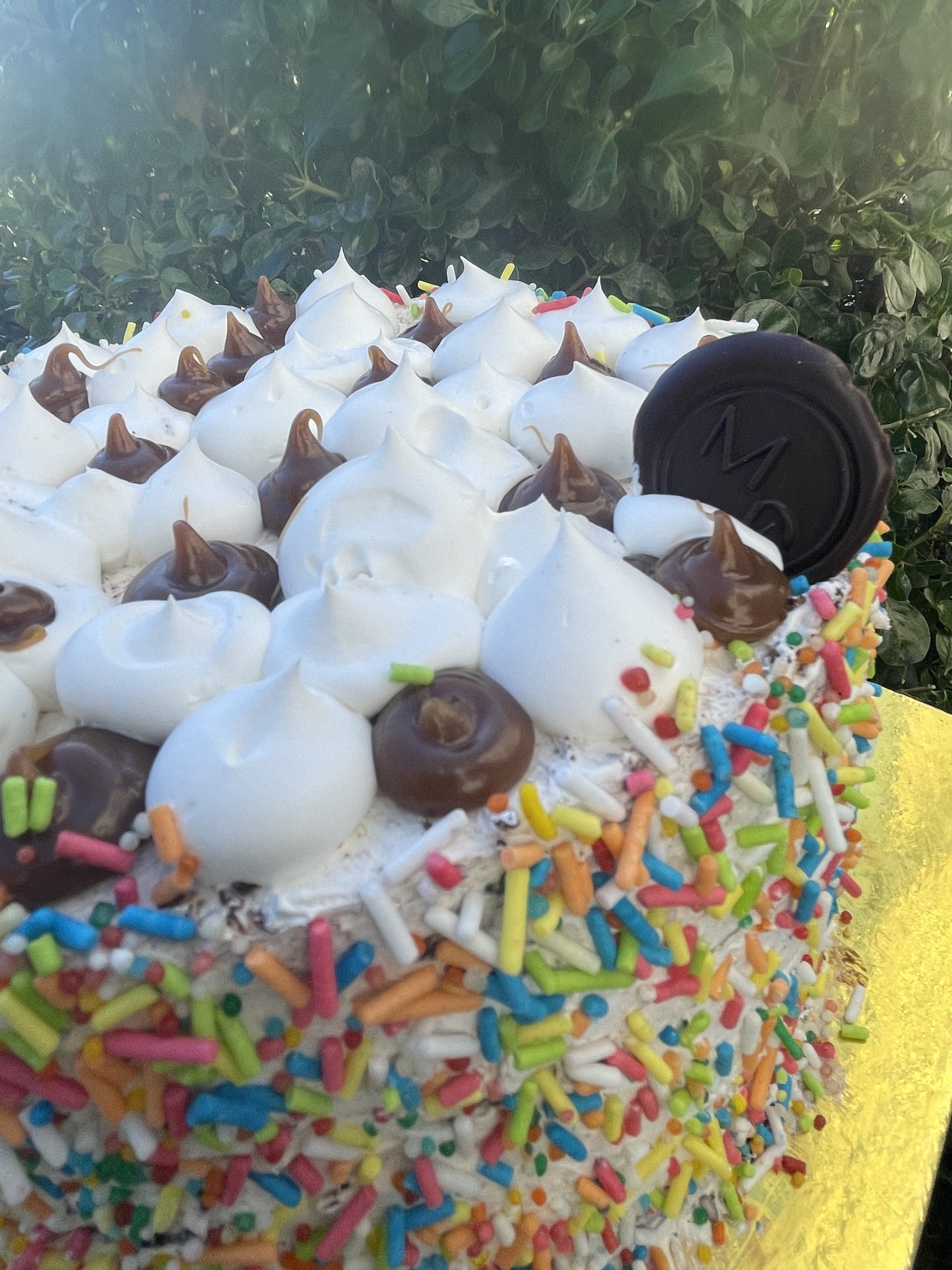 Torta Sprinkles 12p| Vegana - Imagen 2